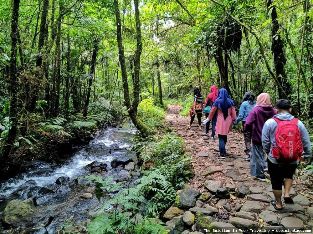 Curug Cibeureum, air terjun indah Bogor