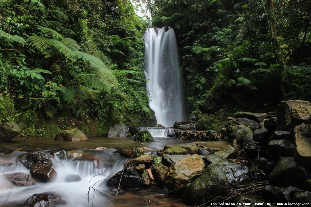 Curug Sadim: keindahan air terjun alami