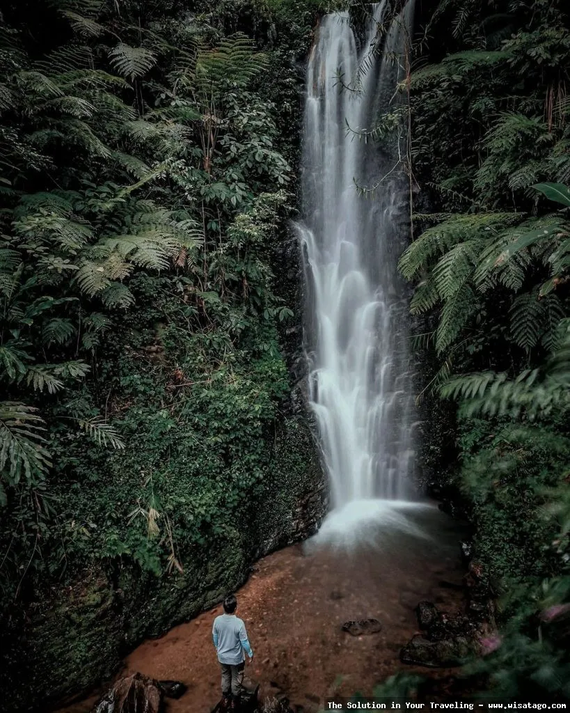 Curug Sadim: keindahan air terjun alami