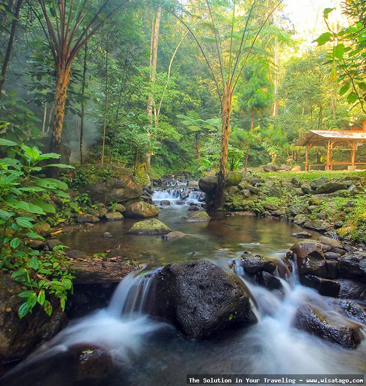 Curug Sadim, air terjun yang mempesona