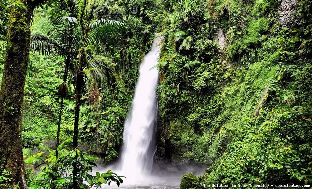 Curug Sawer: keindahan air terjun Sukabumi