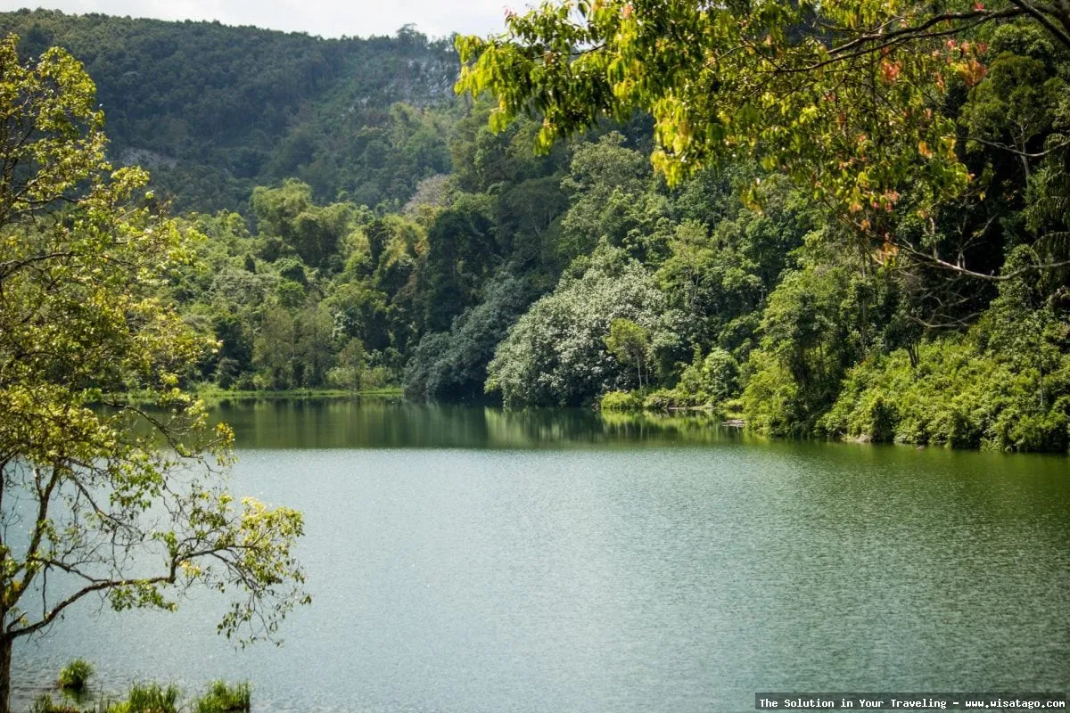 Danau Lingkat, pesona alam Jambi