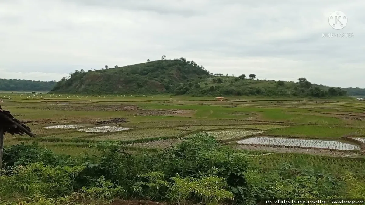 Danau Setu Patok yang menawan