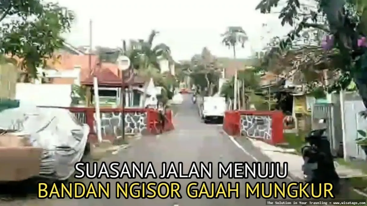 DESA BANDAN BIKISBEBATU KEBUN yang asri