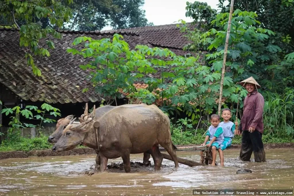 Desa Wisata Lerep: pesona alam pedesaan