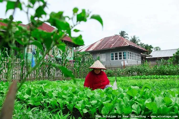 Desa Wisata Nusa Aceh yang indah