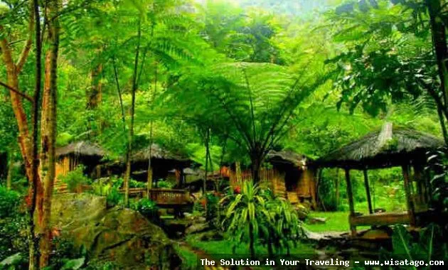 Desa Wisata Sari Bunihayu yang asri