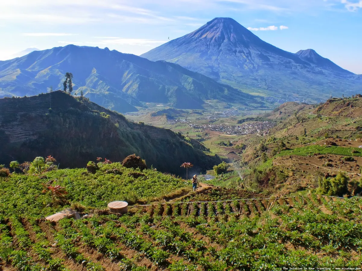 Dieng Plateau, negeri di atas awan