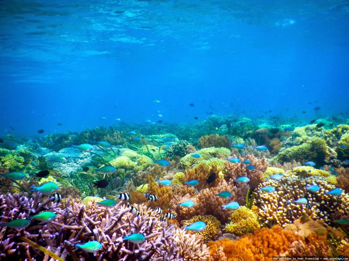 Gili Kondo: Surga tersembunyi Lombok