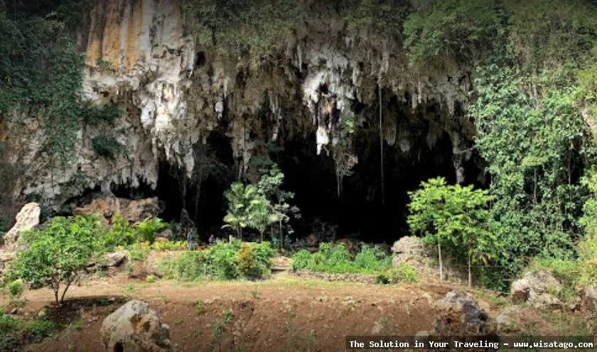 Gua Maria Tritis: tempat berdoa khusyuk