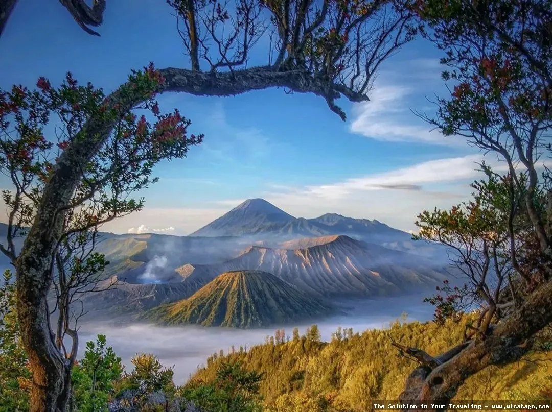 Gunung Bromo, keindahan kawah aktif.