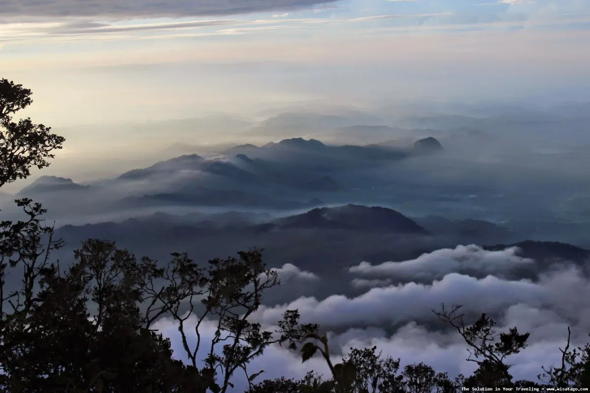Gunung Cikuray: Tips, Harga Tiket, Kuliner, Lokasi, Fasilitas dan Spot