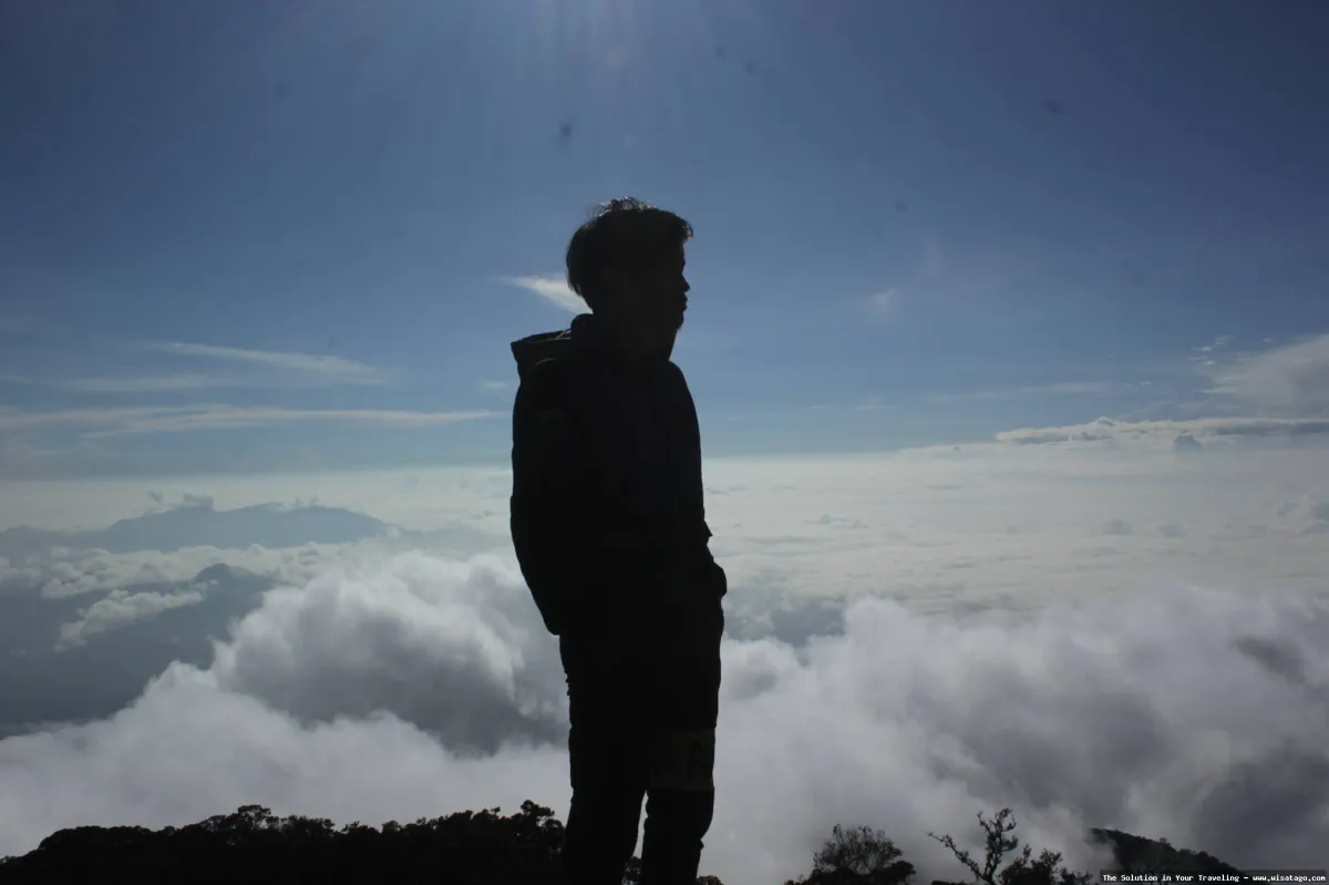 Gunung Cikuray, puncak berkabut menantang