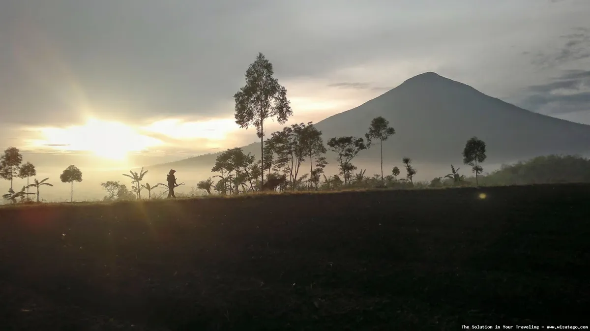 Gunung Cikuray, puncak berkabut indah
