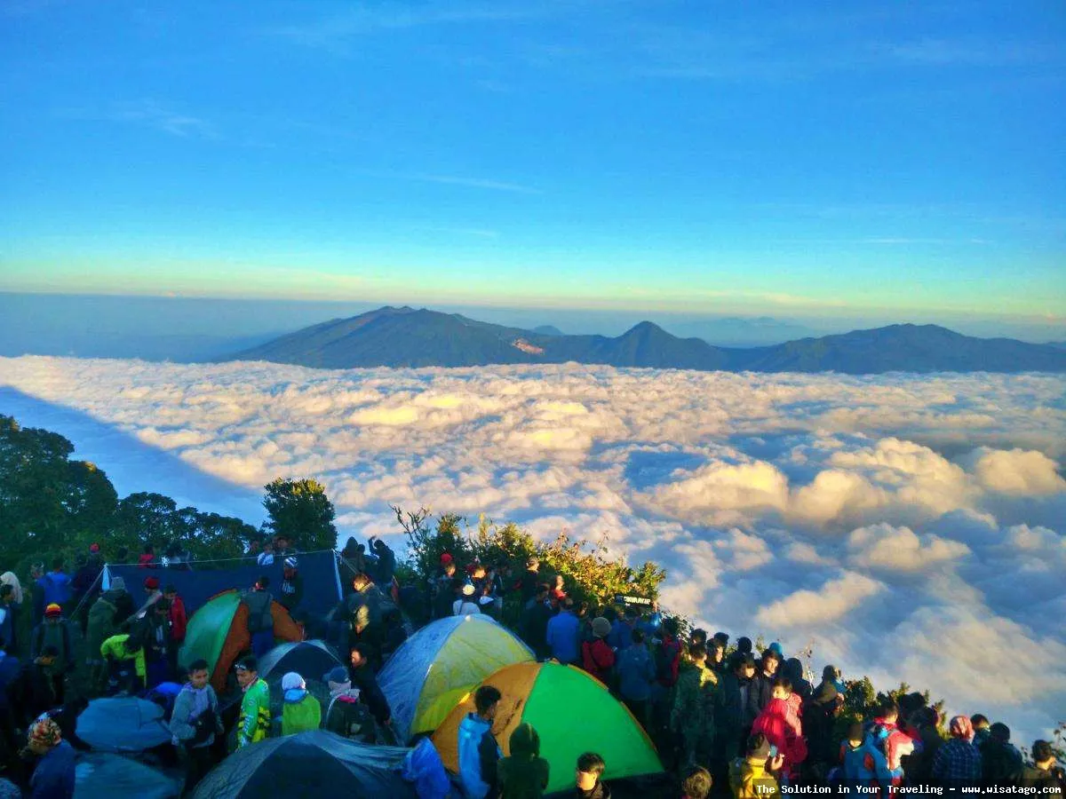 Gunung Cikuray, pemandangan puncak menakjubkan