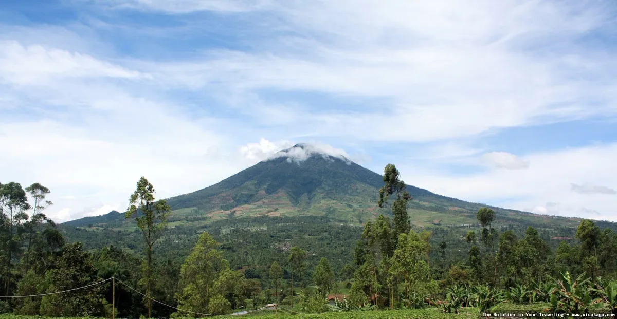 Gunung Cikuray, puncak berkabut menantang