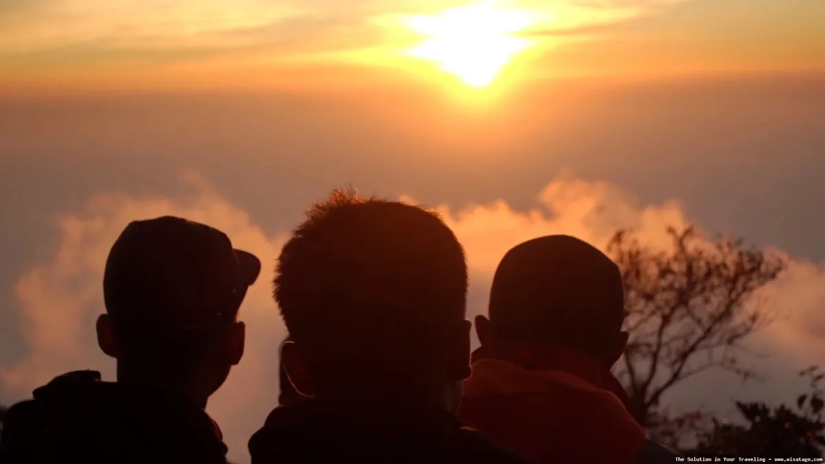 Gunung Cikuray, puncak berkabut menantang