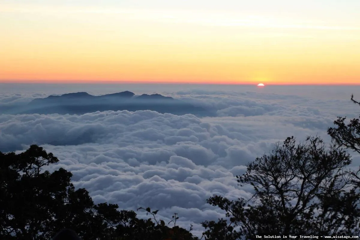 Gunung Cikuray, puncak berkabut menantang