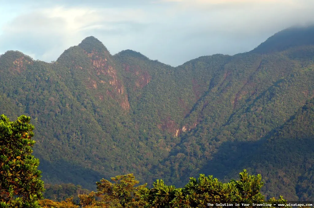 Gunung Daik: puncak menjulang menantang