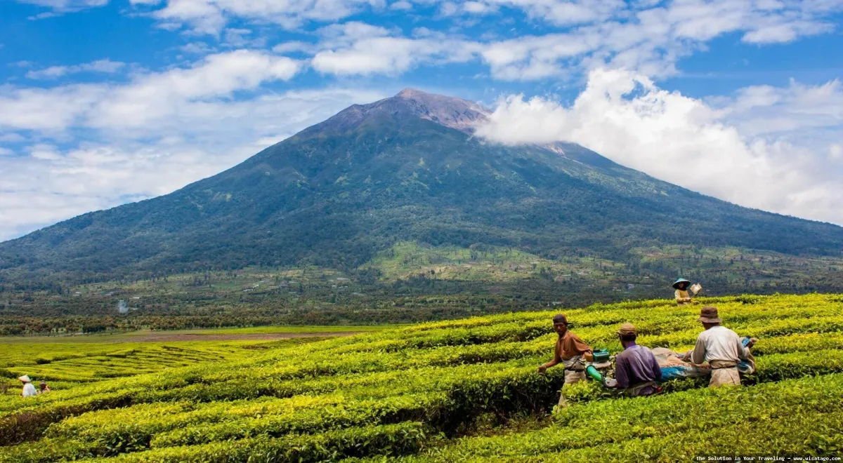 Gunung Kerinci: Tips, Harga Tiket, Kuliner, Lokasi, Fasilitas dan Spot Gunung Kerinci: Tips, Harga Tiket, Kuliner, Lokasi, Fasilitas dan Spot
