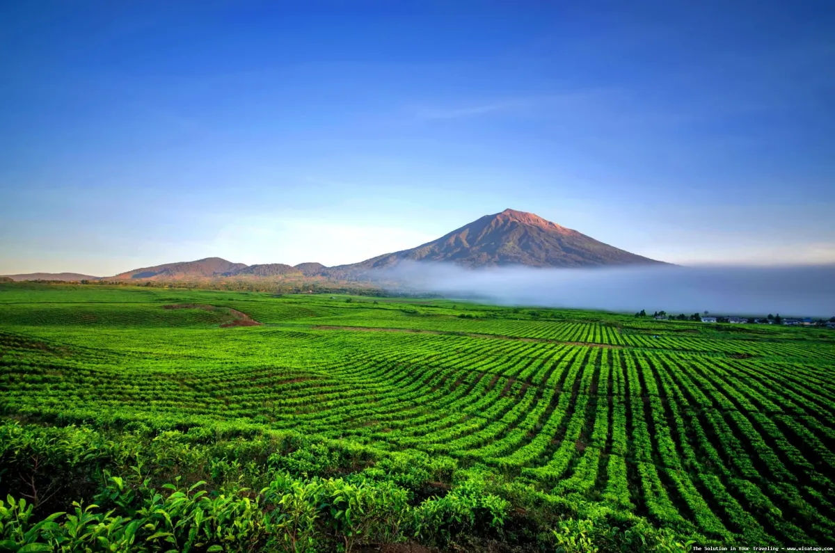 Gunung Kerinci, puncak Sumatra menantang
