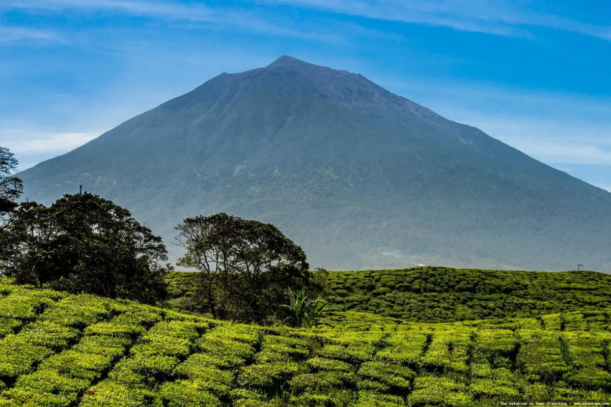 Gunung Kerinci, puncak Sumatera tertinggi