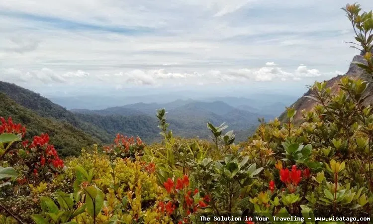 Gunung Kunyit: lanskap alam yang indah