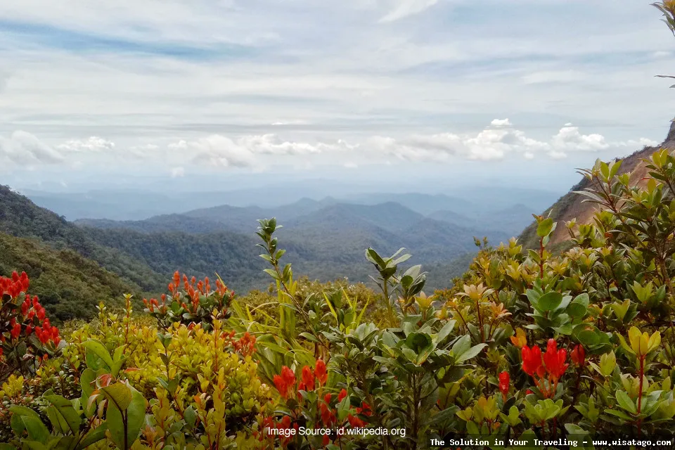 Gunung Kunyit: pesona alam memukau