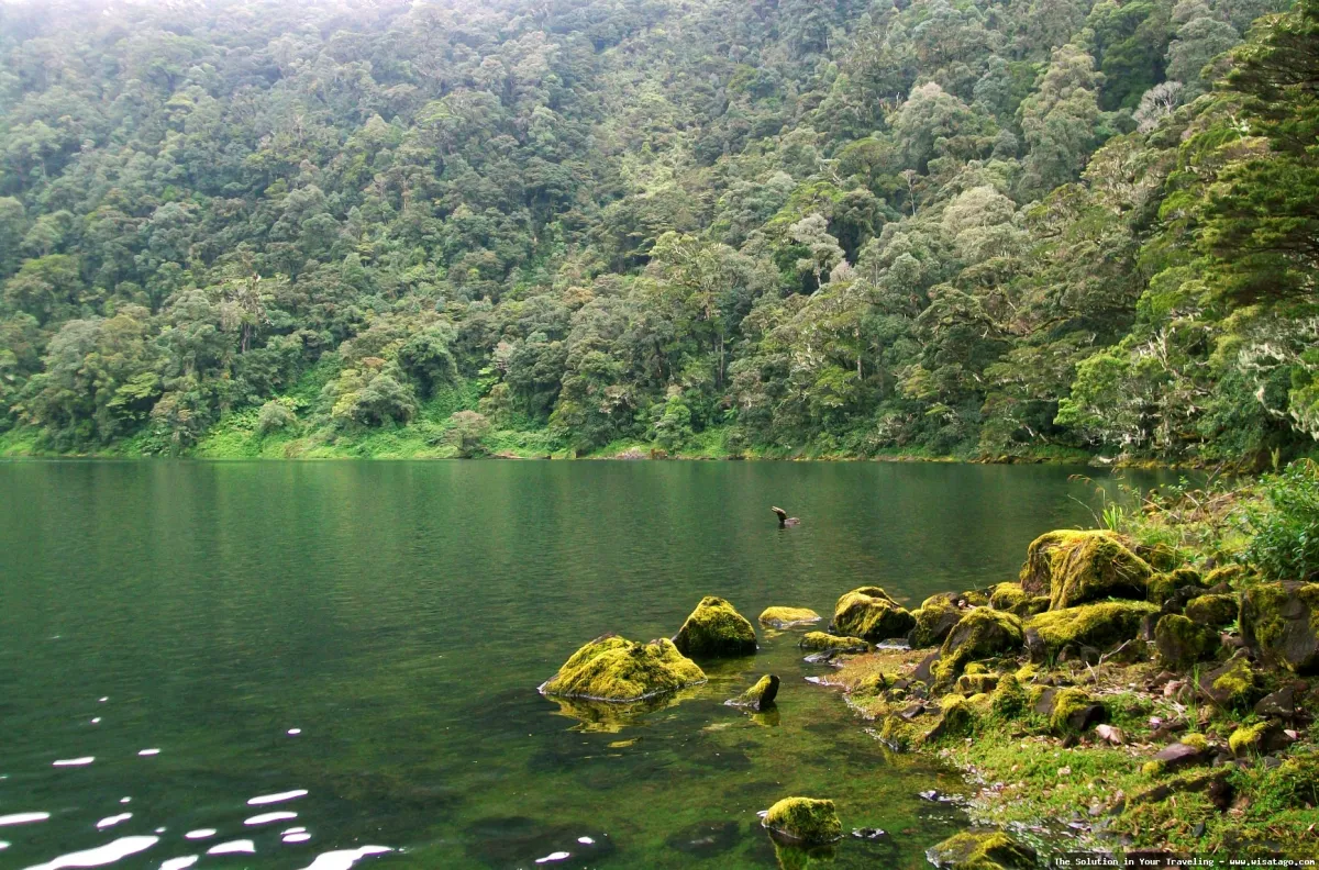 Gunung Masurai, keindahan alam Jambi