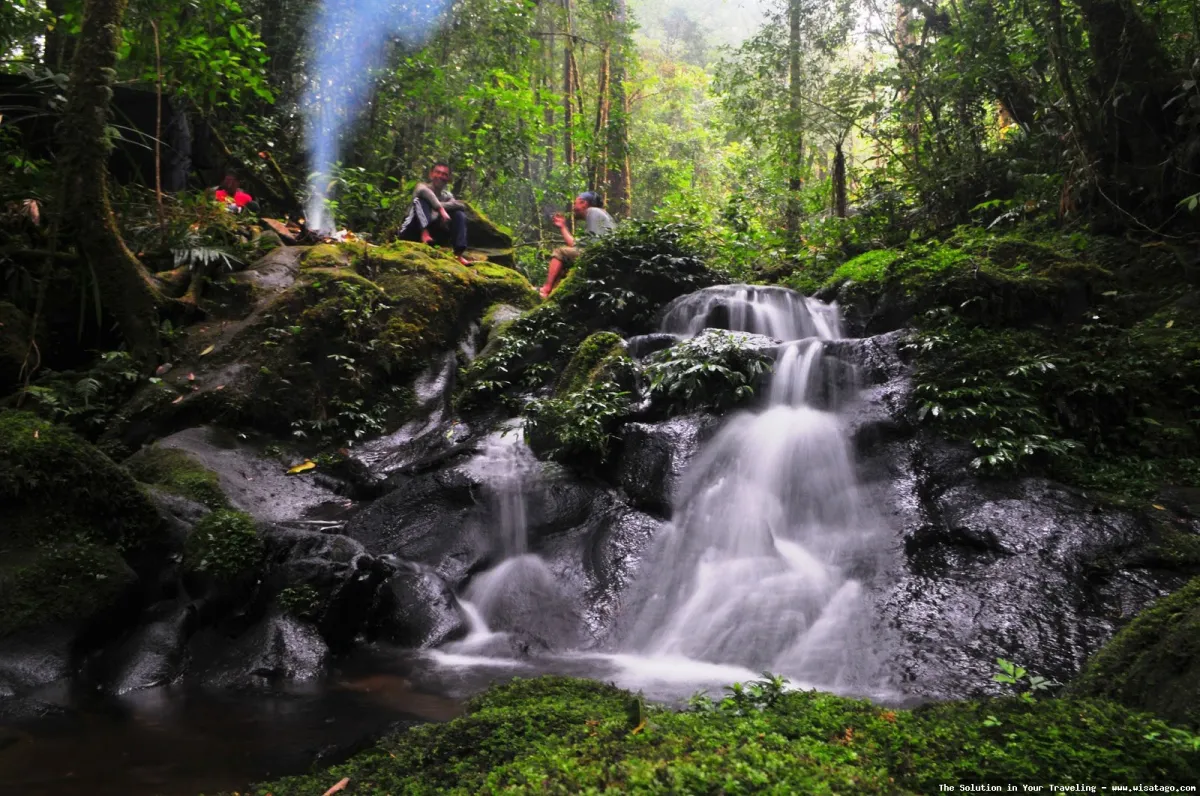 Gunung Masurai, pesona alam Jambi