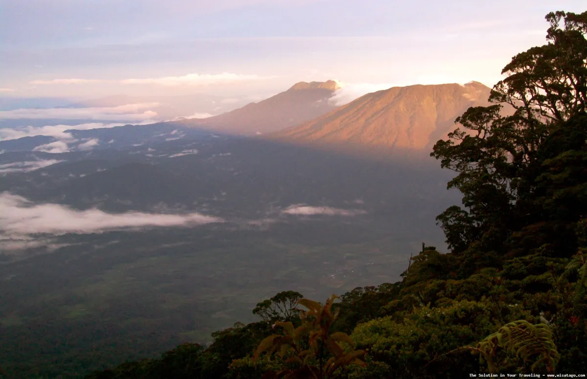 Gunung Masurai, puncak Jambi yang indah