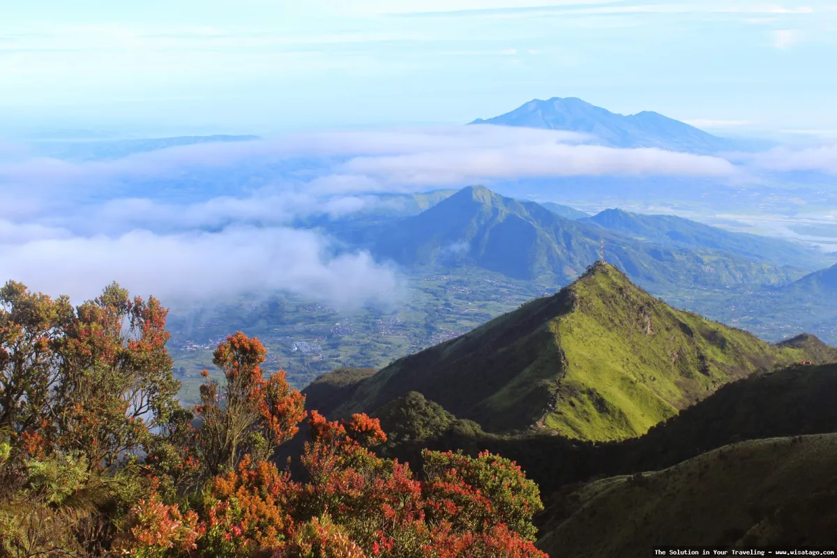 Gunung Merbabu, keindahan alam memukau