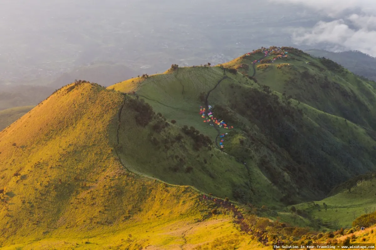 Gunung Merbabu, puncak yang menawan