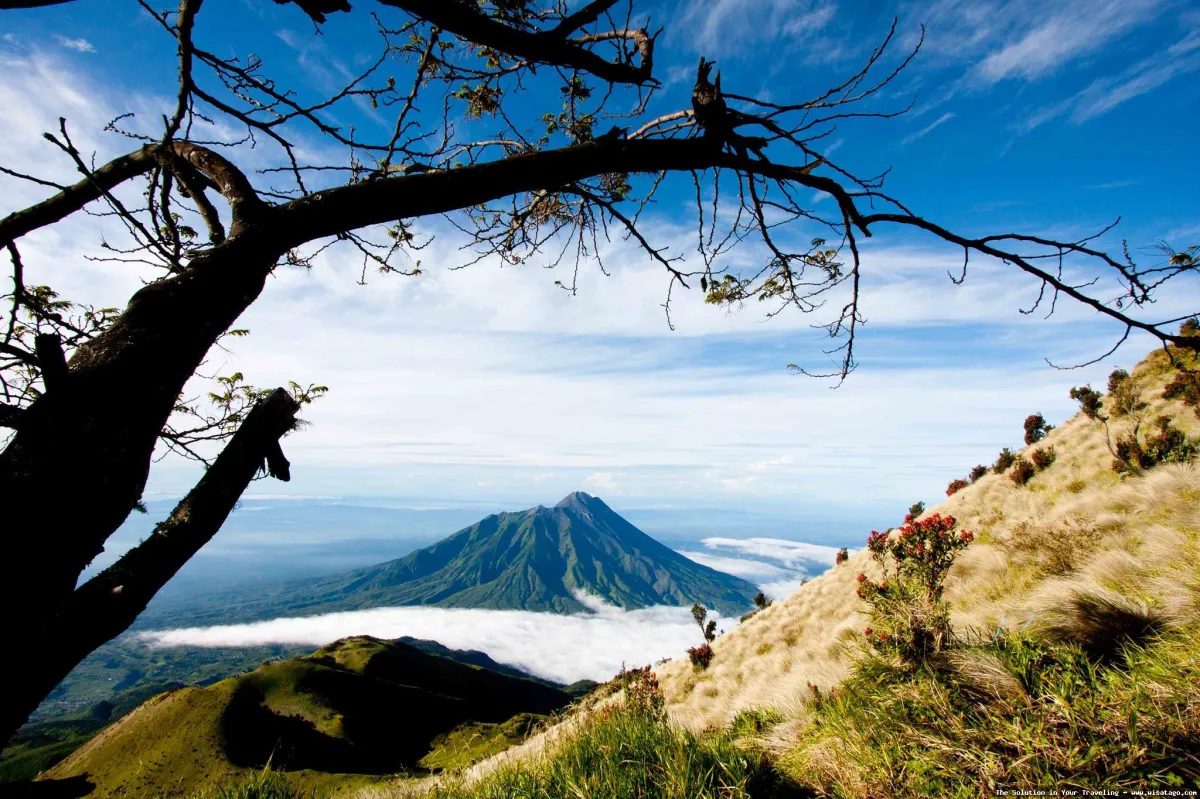 Gunung Merbabu, pemandangan alam indah