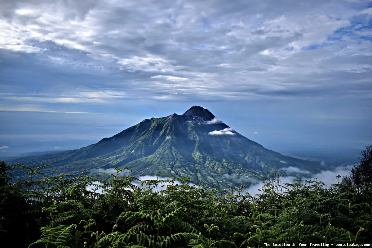 Gunung Merbabu, pemandangan alam memukau.