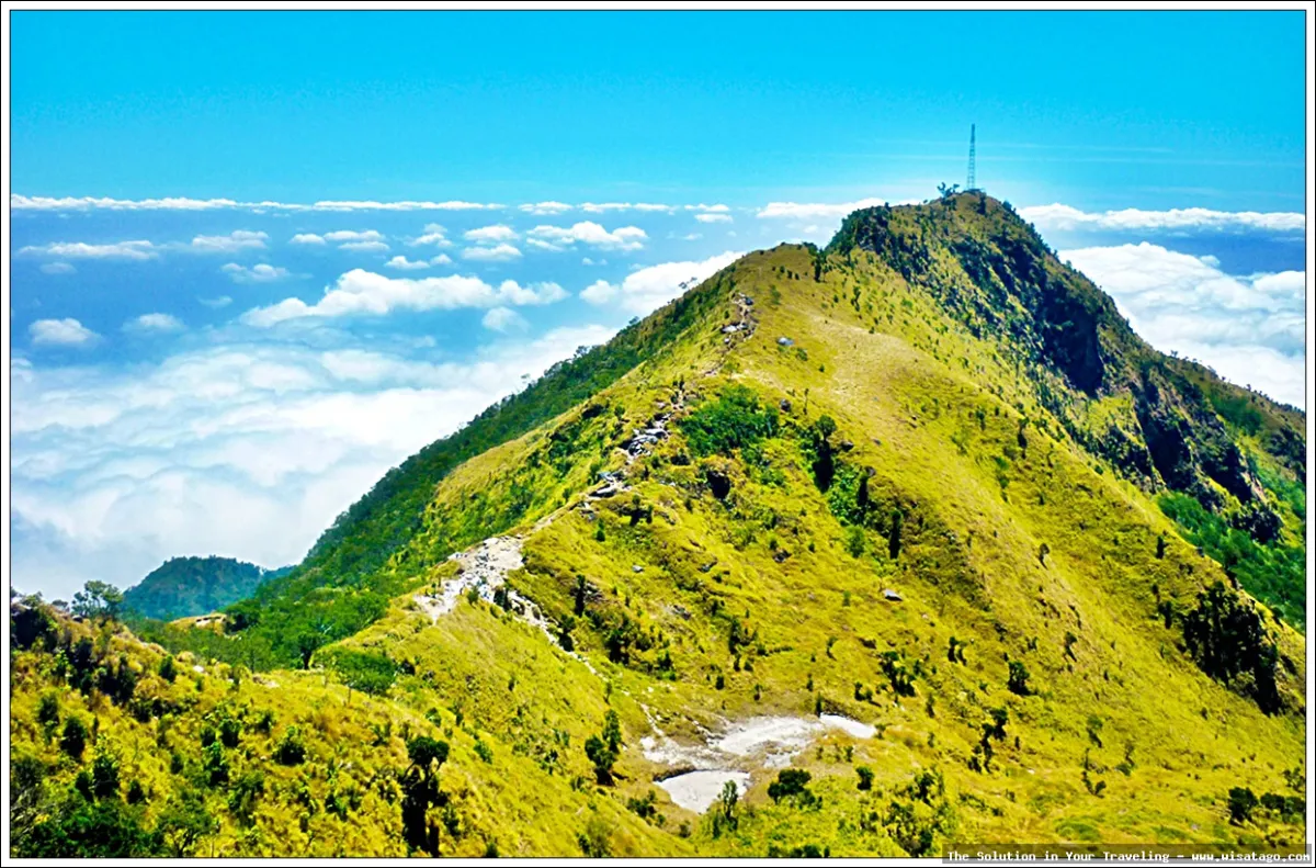 Gunung Merbabu, pemandangan indah memukau