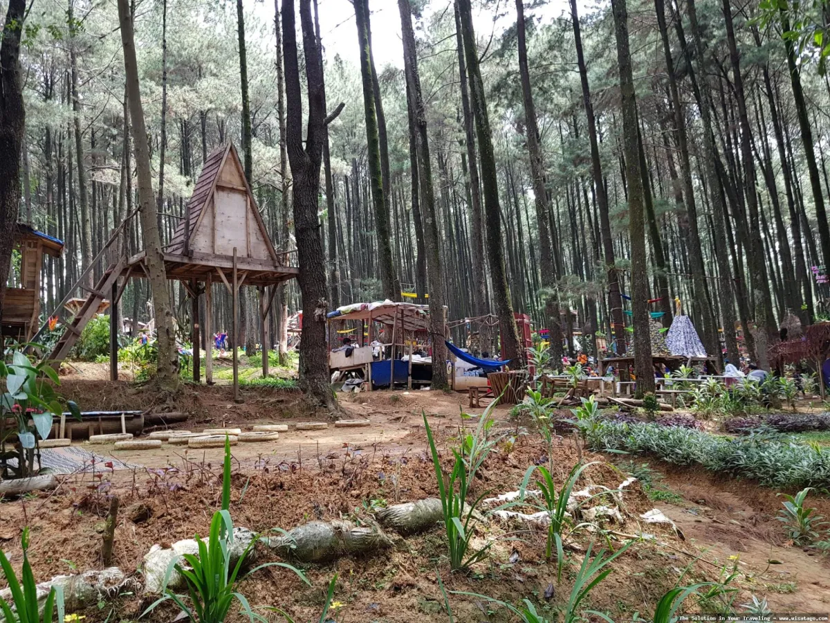 Gunung Pancar, keindahan alam memukau