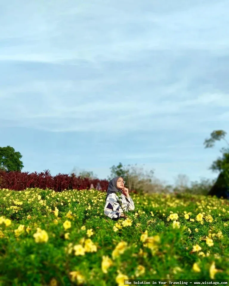 Hestis Garden, taman yang asri