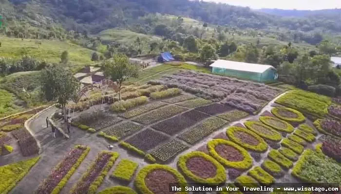Hestis Garden, taman asri mempesona