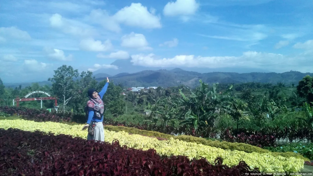 Hestis Garden, keindahan taman memukau
