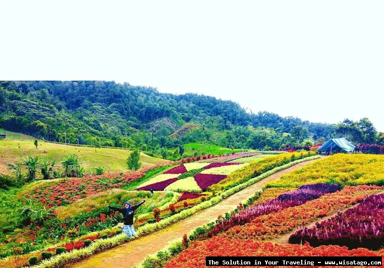 Hestis Garden, taman asri mempesona