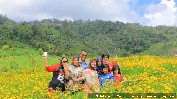 Hestis Garden, taman hijau yang asri