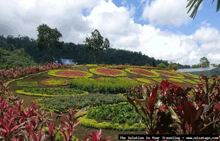Hestis Garden, taman yang indah