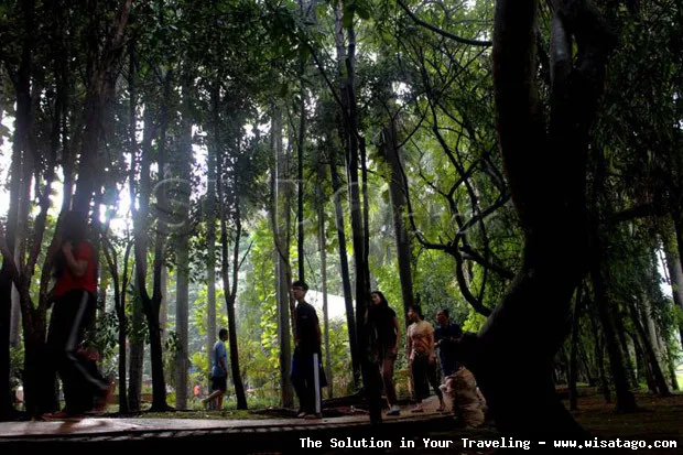 Hutan Kota Malabar yang asri sejuk