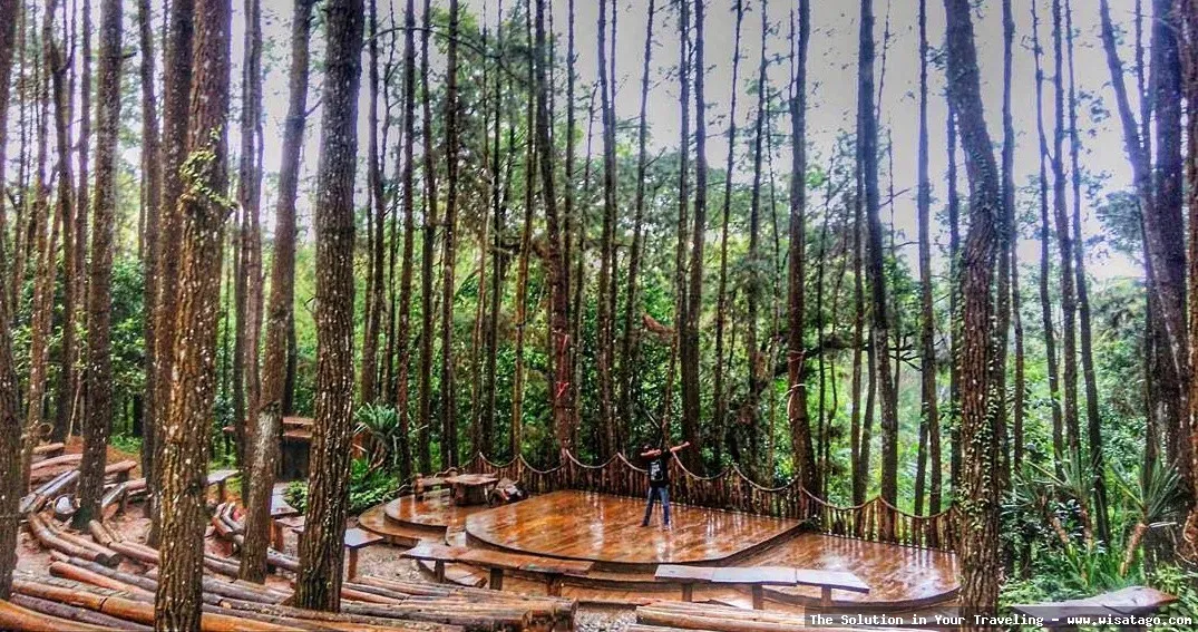 Hutan Pinus Mangunan: Tips, Harga Tiket, Kuliner, Lokasi, Fasilitas dan Spot Hutan Pinus Mangunan: Tips, Harga Tiket, Kuliner, Lokasi, Fasilitas dan Spot
