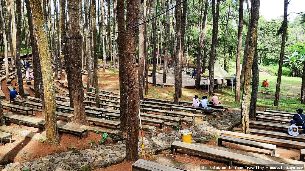 Hutan Pinus Mangunan, keindahan alam.