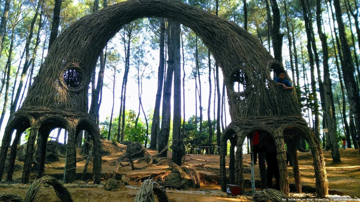 Hutan Pinus Mangunan, pemandangan alam indah