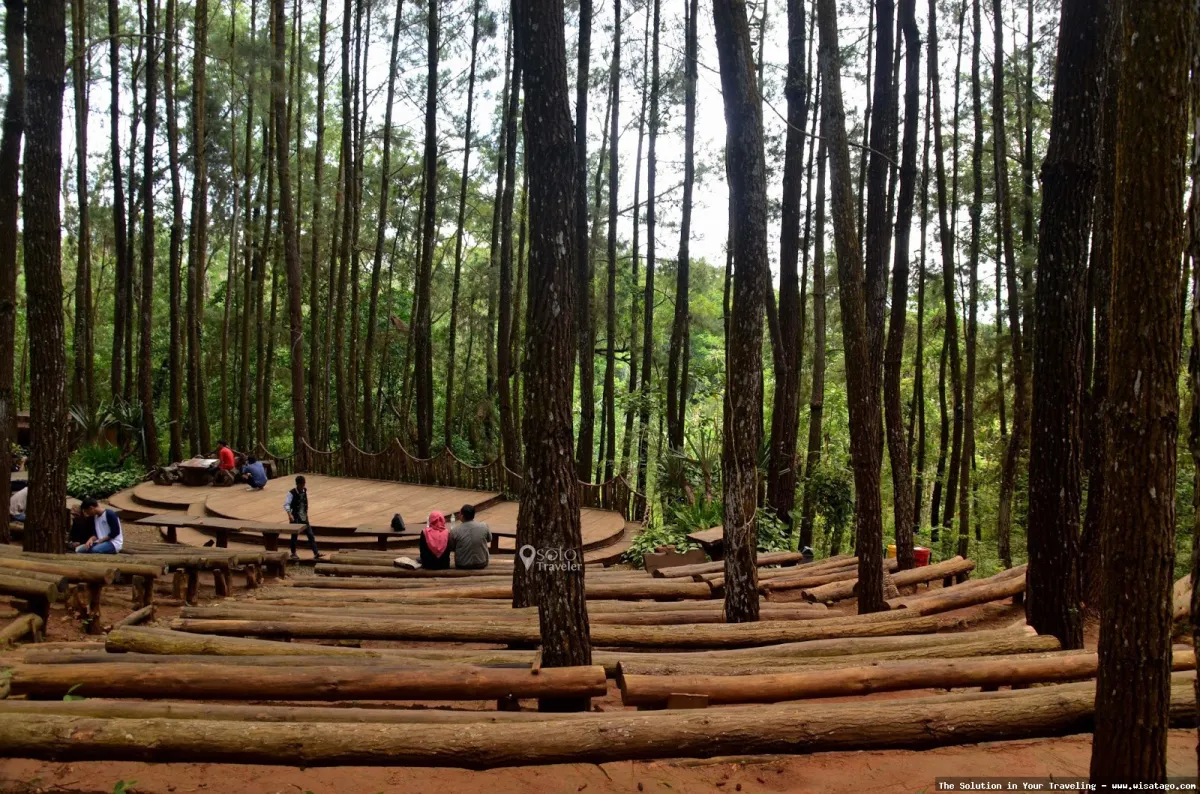 Hutan Pinus Mangunan, pemandangan indah.