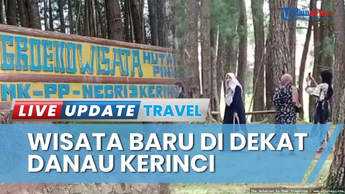 Hutan Pinus Sanggaran Agung yang mempesona