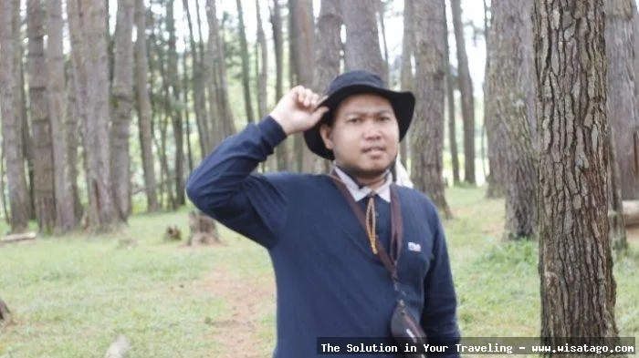 Hutan Pinus Sanggaran Agung yang menawan